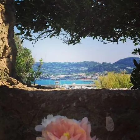 Couette-café Harbour View 3*