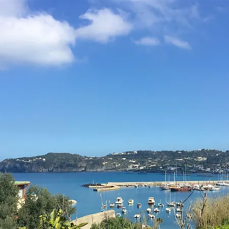 Harbour View