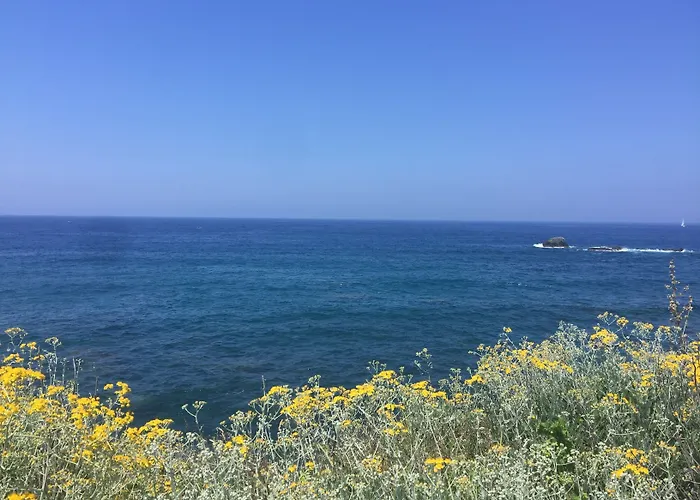 Harbour View 住宿加早餐酒店 3*